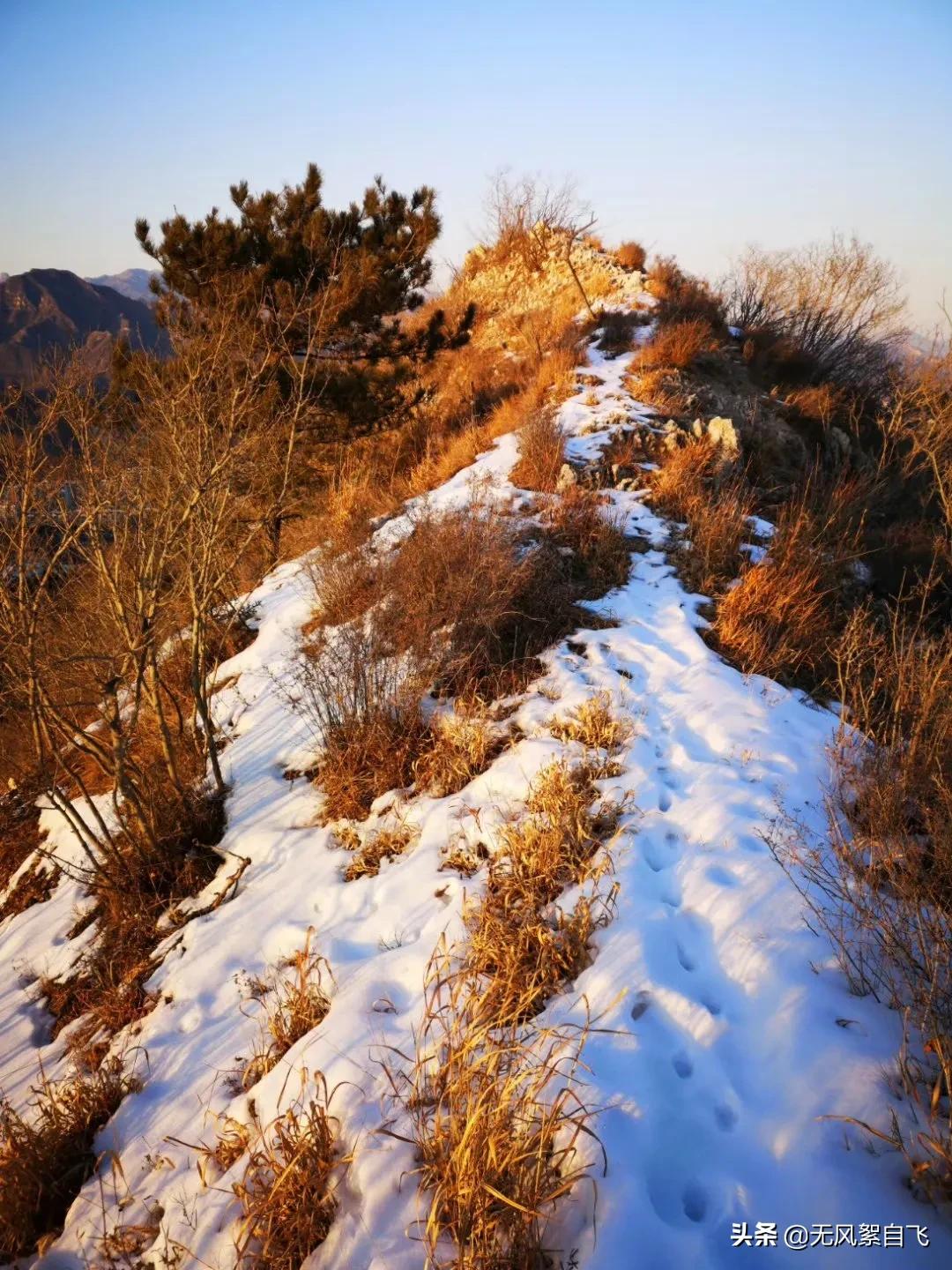 时间慢点走的唯美句子（慢时光静生活唯美句子）