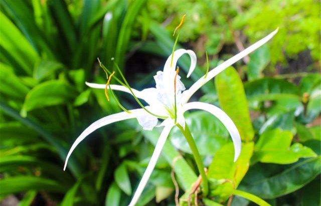 有海有山的诗句（形容山和海的优美句子）