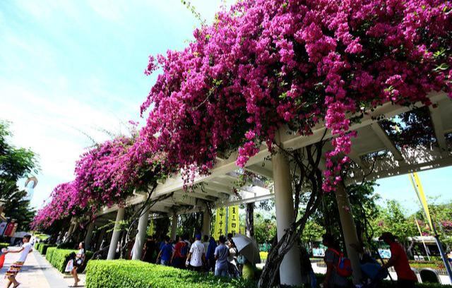 有海有山的诗句（形容山和海的优美句子）