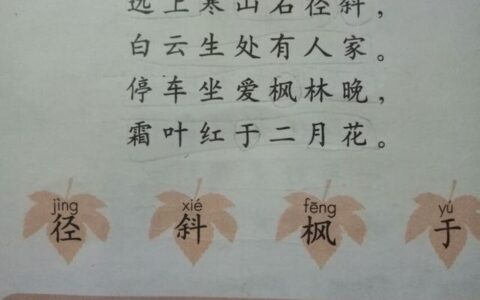 古诗山行的意思（山行翻译及注释）