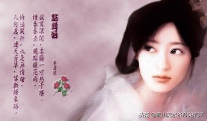 点绛唇蹴罢秋千原文是什么（点绛唇蹴罢秋千古诗赏析）