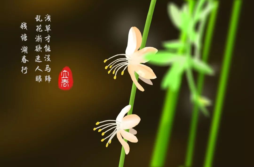 有关二十四节气的古诗（描写24节气相对应的古诗）