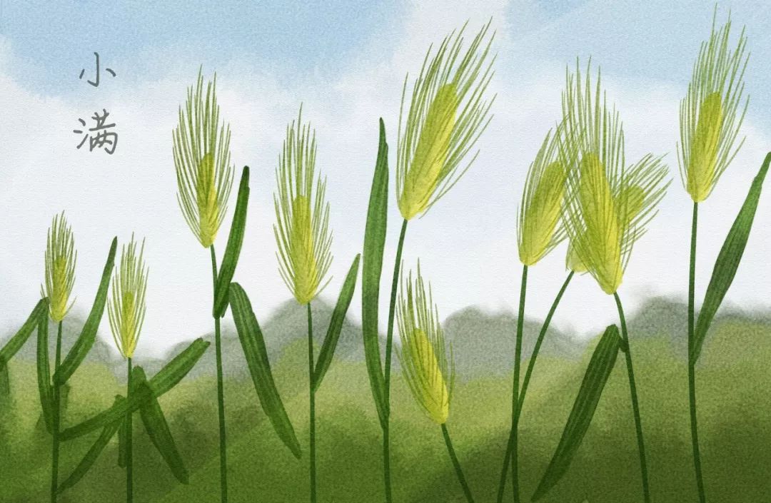有关二十四节气的古诗（描写24节气相对应的古诗）