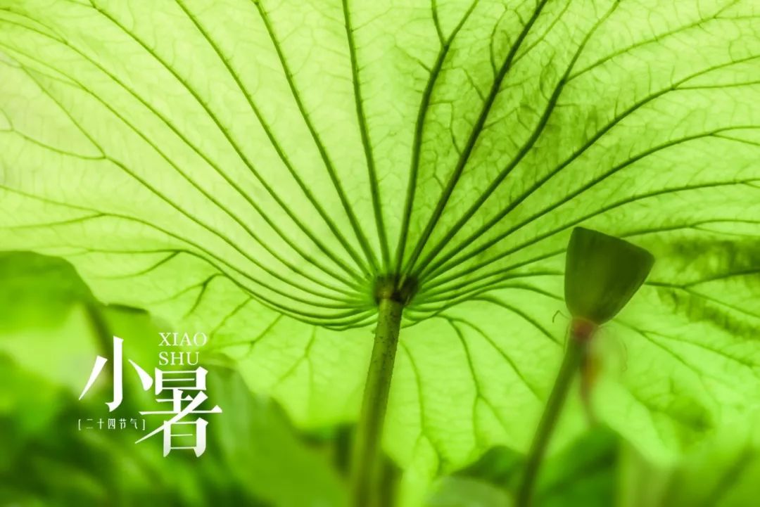 有关二十四节气的古诗（描写24节气相对应的古诗）