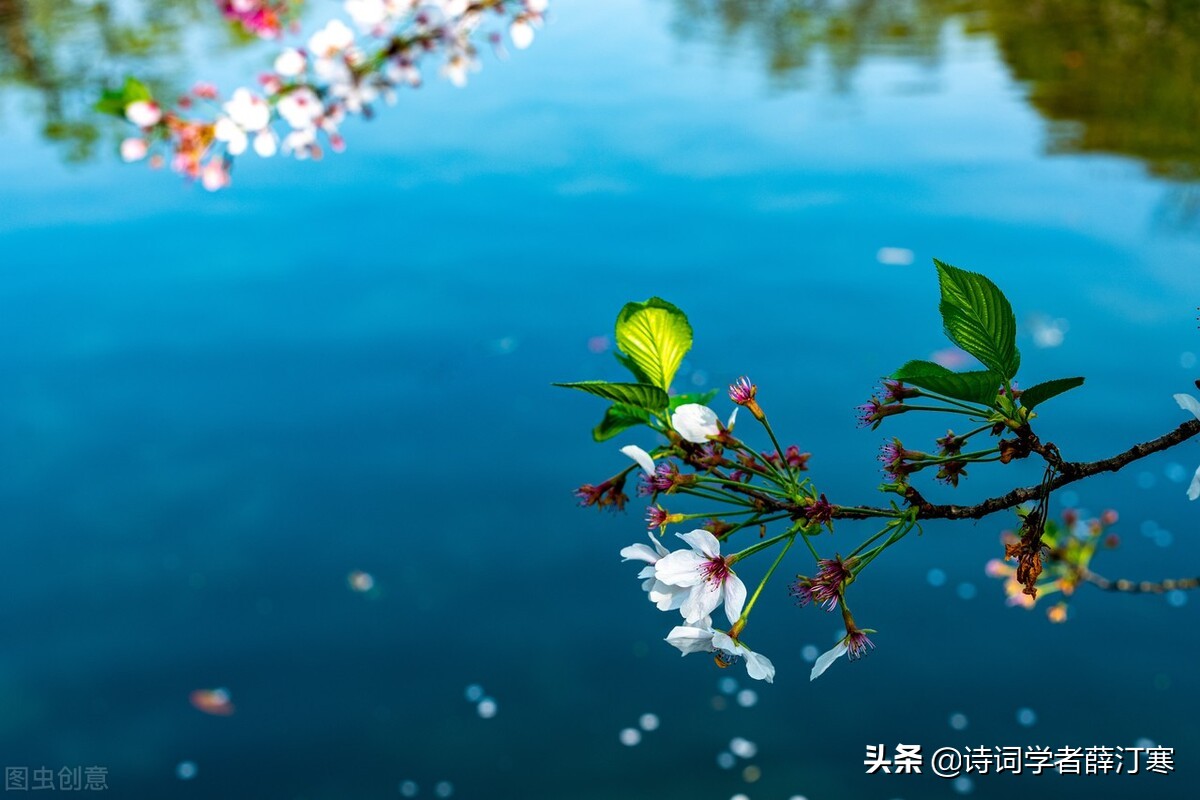 带春的诗句有哪些（关于春天的诗句大全）