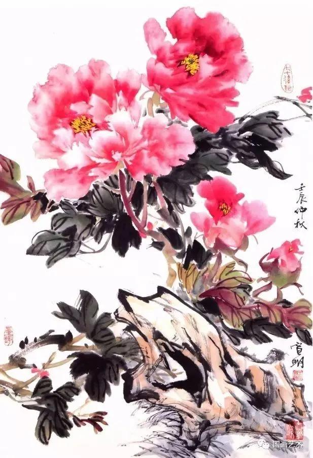 描写牡丹花的优美句子（赞美牡丹花的好词）
