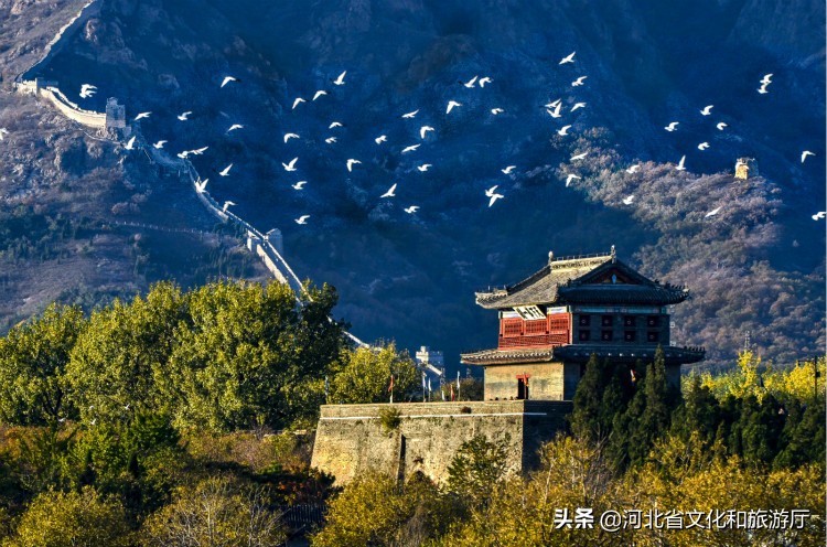 形容长城的词语和句子（形容长城壮观的诗句）