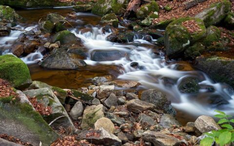 拼搏奋斗的名言名句（励志拼搏努力的哲理句子）