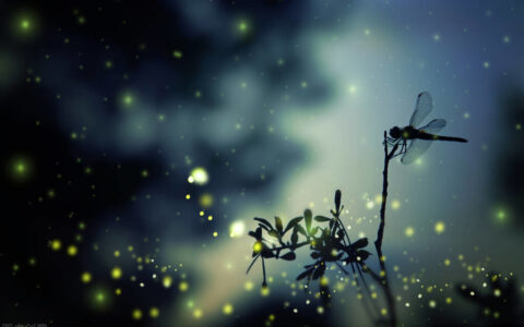 冬天夜晚霓虹灯下的唯美句子（描述霓虹灯下的夜景）