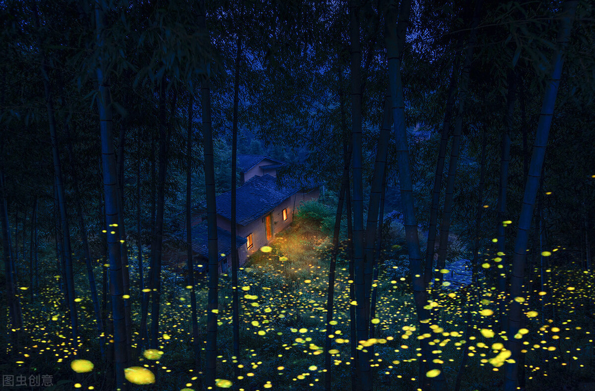 冬天夜晚霓虹灯下的唯美句子（描述霓虹灯下的夜景）