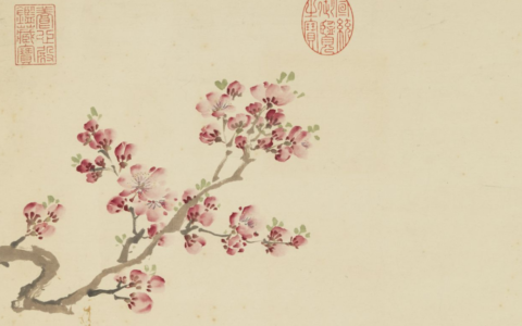 江畔独步寻花古诗全首（江畔独步寻花古诗意思）