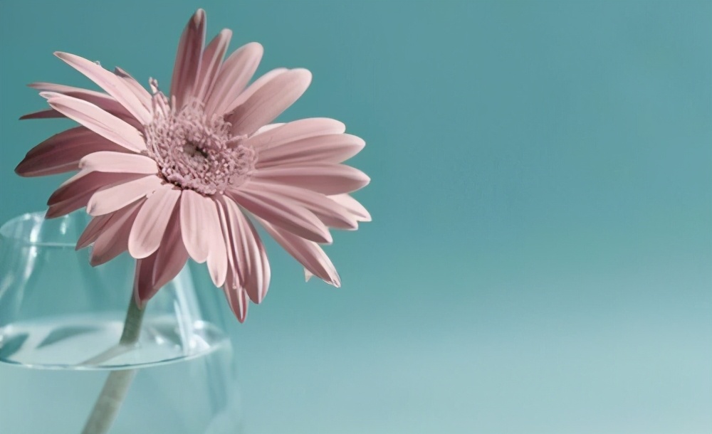 形容美好生活的诗句（美好生活的唯美短句）