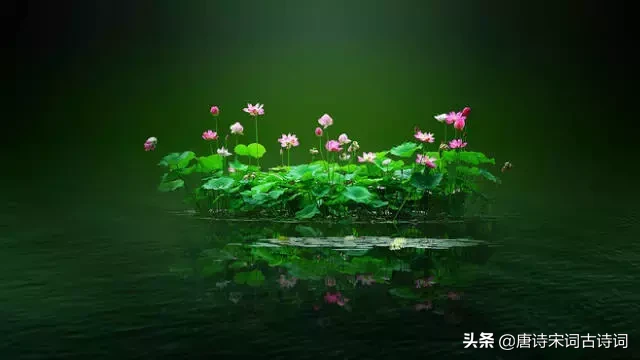 描写初夏的诗句古诗（夏天诗句大全集）