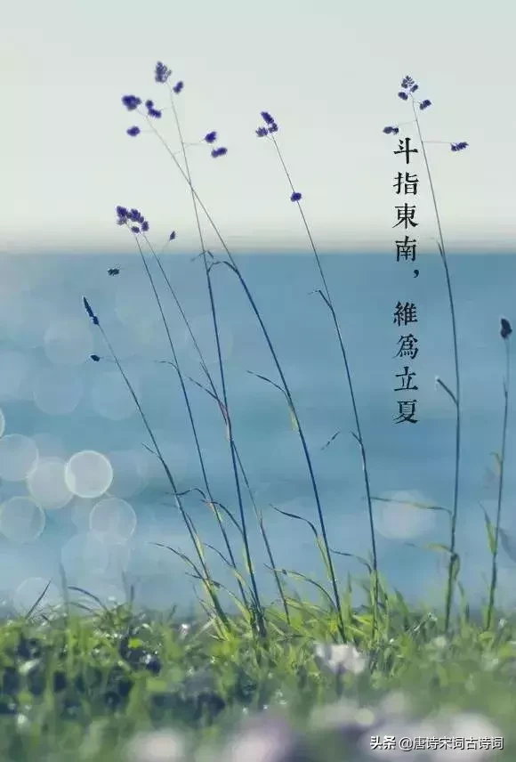 描写初夏的诗句古诗（夏天诗句大全集）