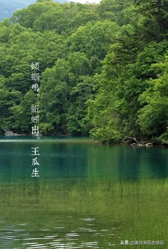 描写初夏的诗句古诗（夏天诗句大全集）