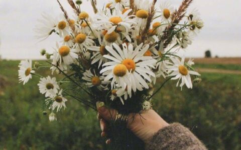 夸女人优秀的句子（高情商夸赞女人漂亮的短句）