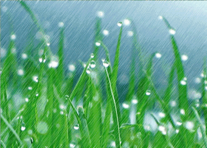 初春小雨古诗赏析（关于雨水的古诗）