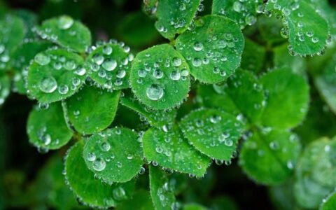 下雨天的句子适合发朋友圈（下雨感悟人生的句子）