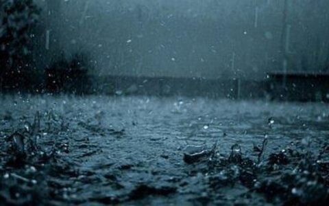 关于雨的唯美句子（关于描写雨的唯美诗句）
