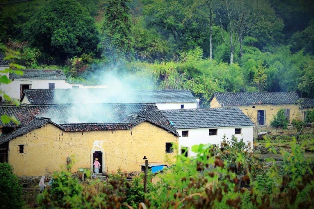 表达生活美好的句子的诗句（寄予美好希望的诗词）