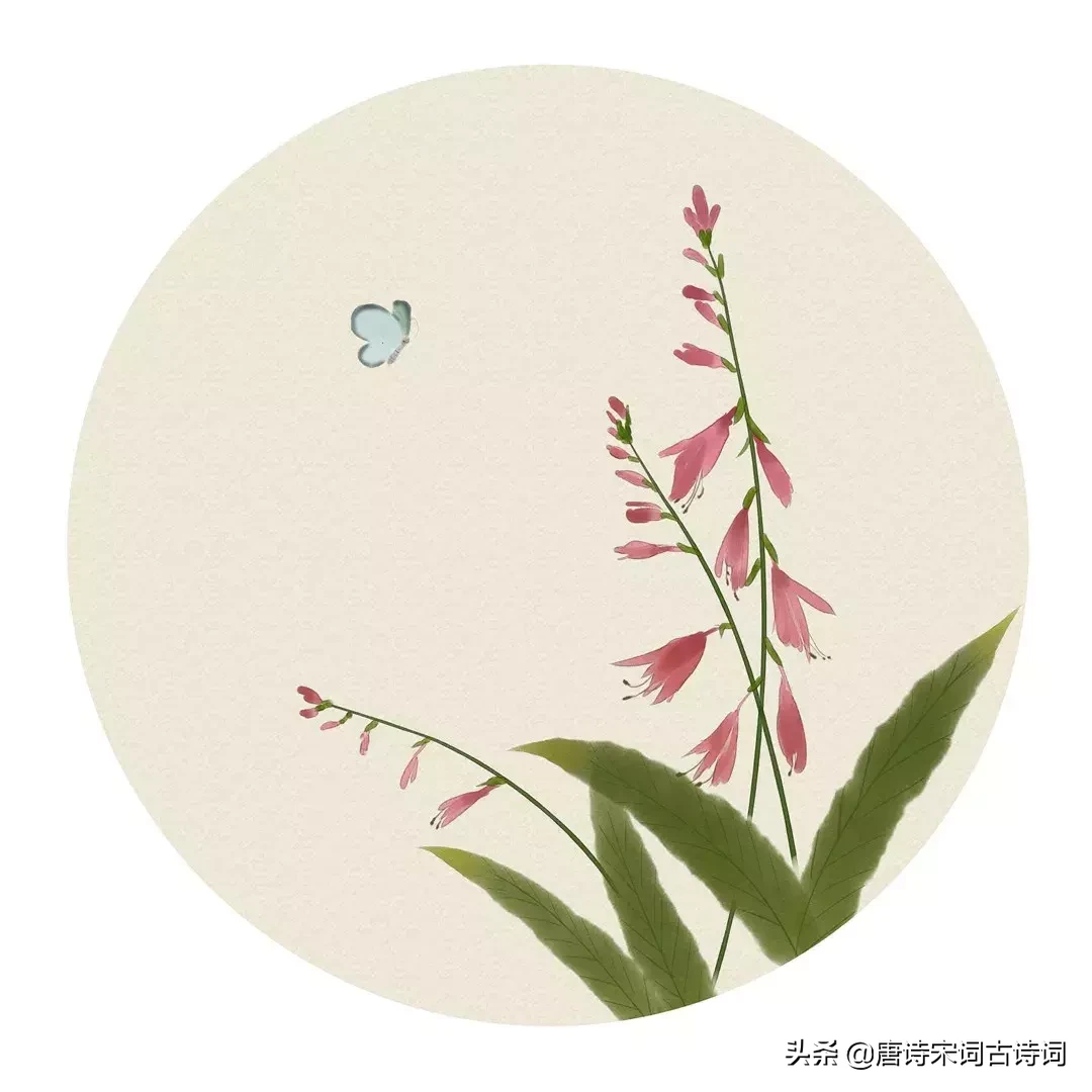 描写夏天的诗词名句（夏天诗句大全集）