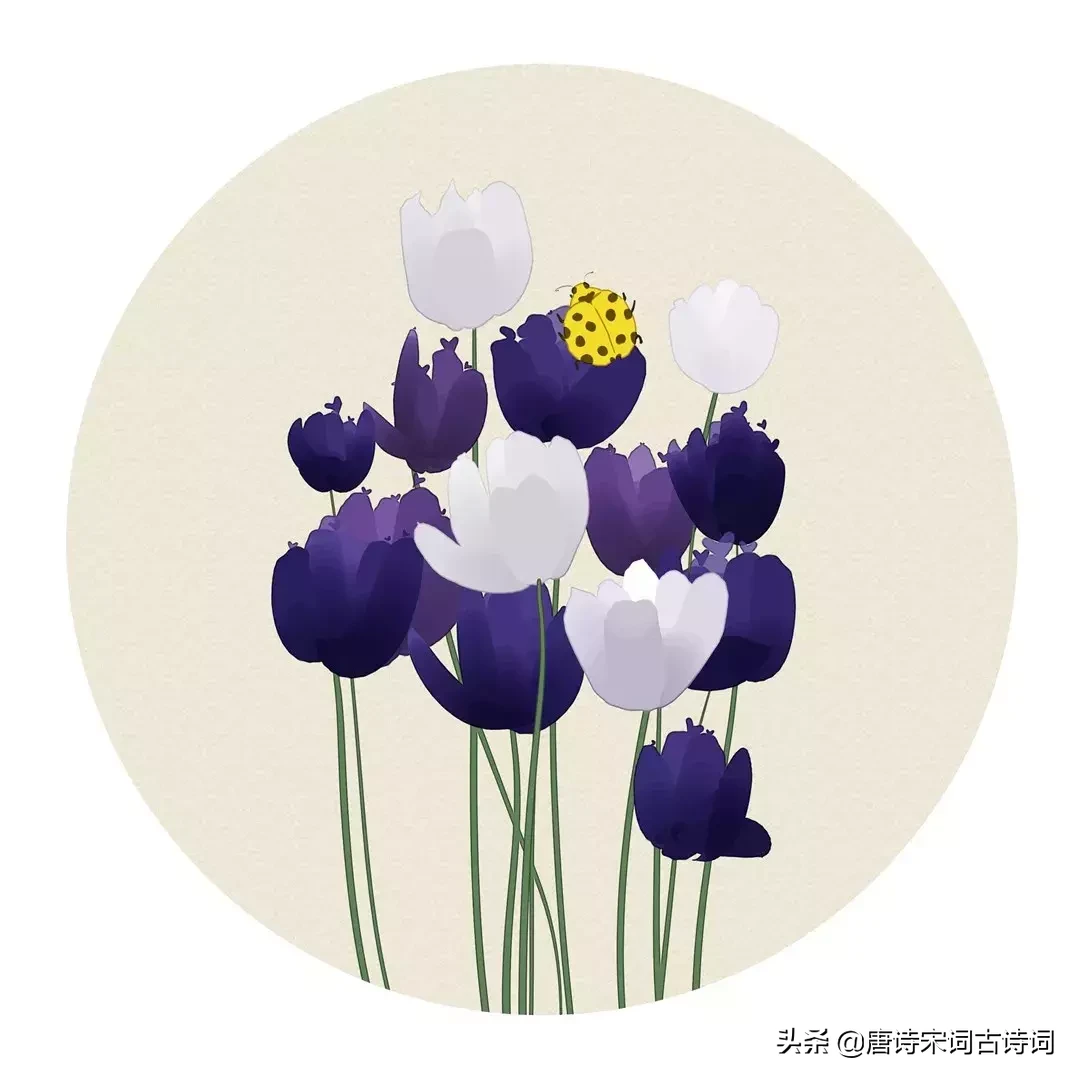 描写夏天的诗词名句（夏天诗句大全集）