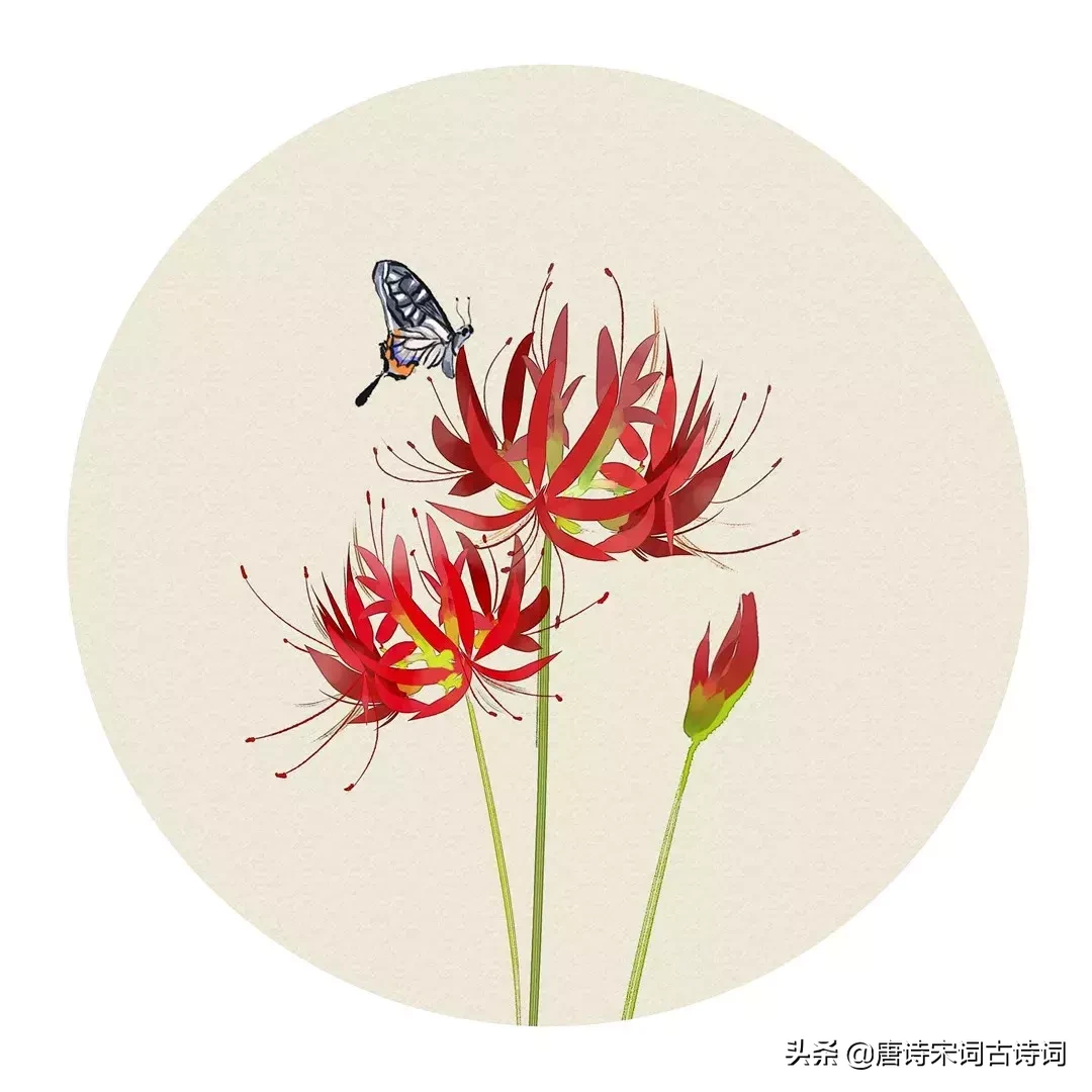 描写夏天的诗词名句（夏天诗句大全集）