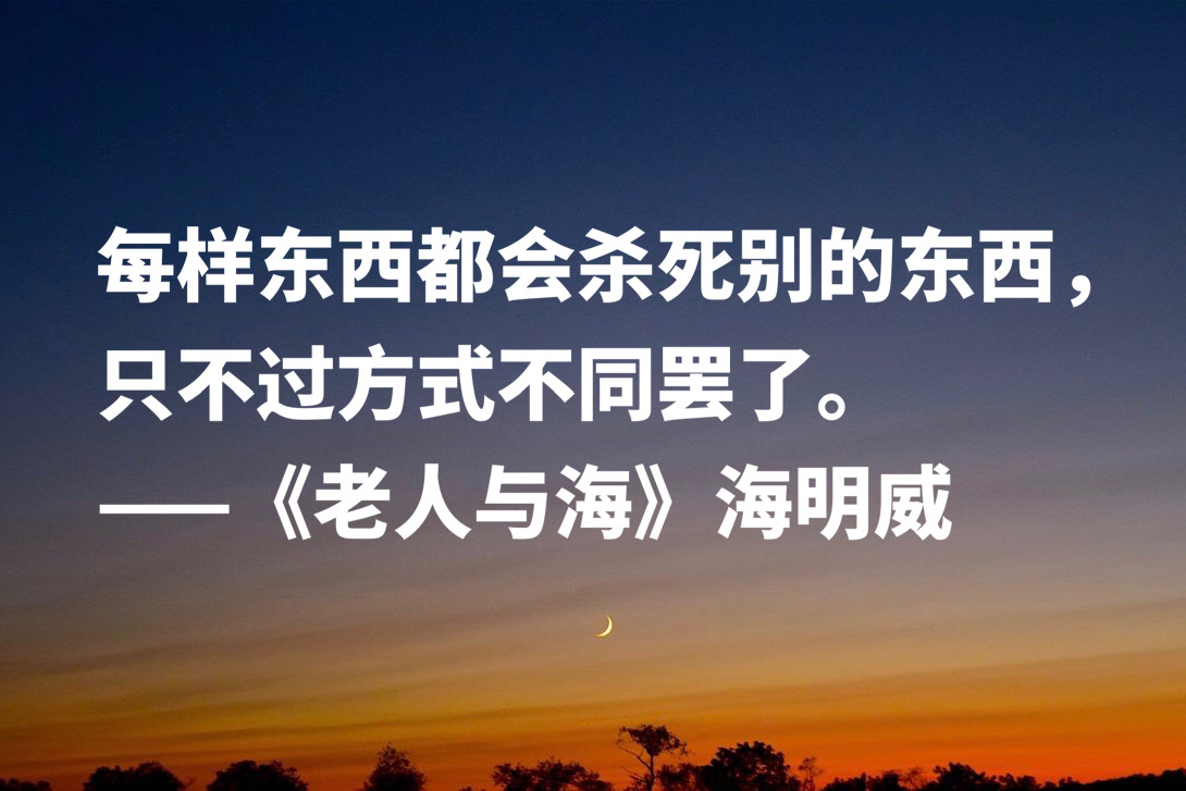 老人与海好词100个（老人与海的优美词语）
