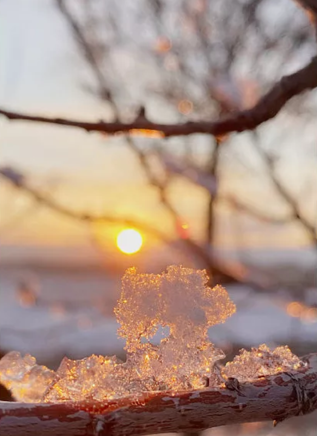 感谢词精美句子（超级短的暖人心的句子）