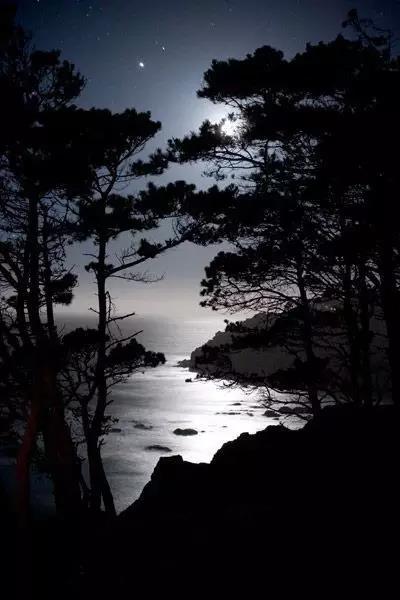 王维的古诗（王维最著名的诗30首）