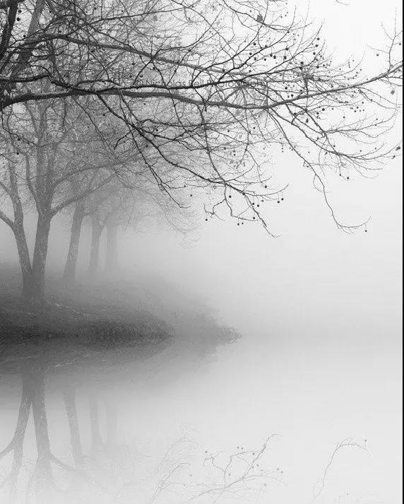 王维的古诗（王维最著名的诗30首）