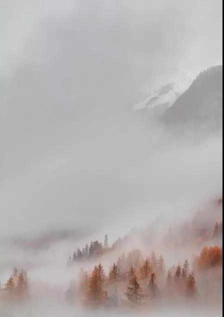 王维的古诗（王维最著名的诗30首）