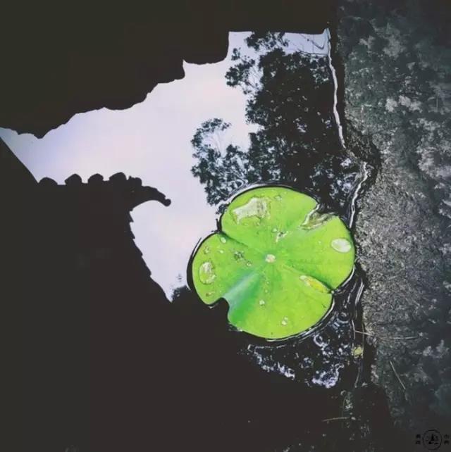 王维的古诗（王维最著名的诗30首）