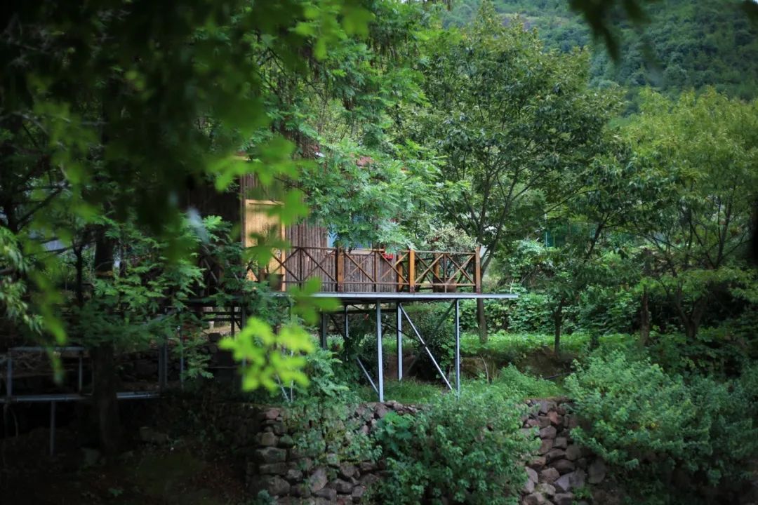 田园风光的古诗大全（关于春天田园风光的古诗）