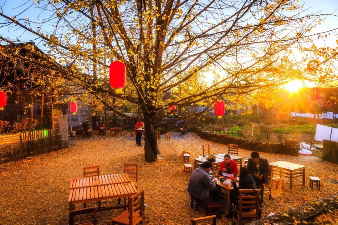 田园风光的古诗大全（关于春天田园风光的古诗）