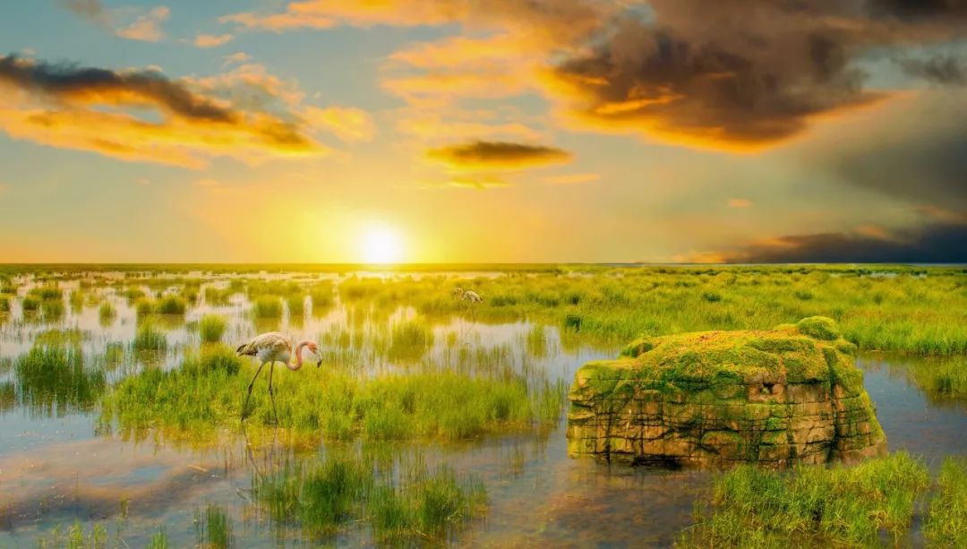 田园风光的古诗大全（关于春天田园风光的古诗）