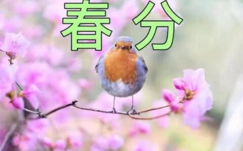 春分的美好寓意和象征（有关春分的寓意及内涵）
