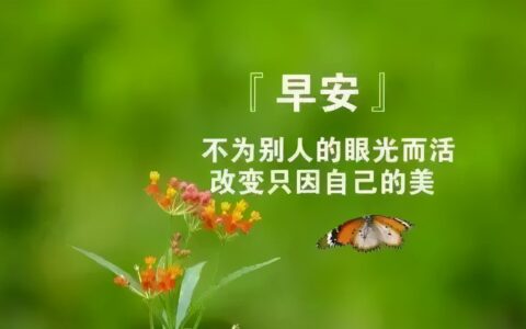 真心问候朋友的句子（最新版早上好问候语）