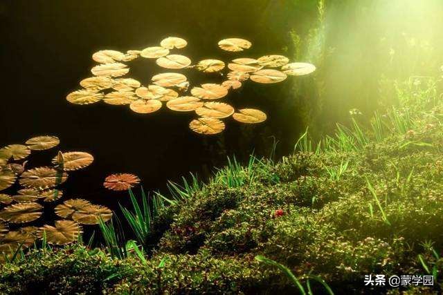 描写春天的句字摘抄（描写春天的好词好句大全）