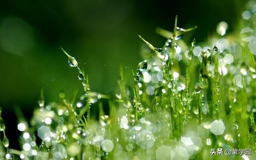 描写春天的句字摘抄（描写春天的好词好句大全）