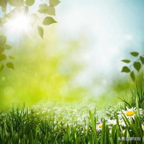 描写春天的句字摘抄（描写春天的好词好句大全）