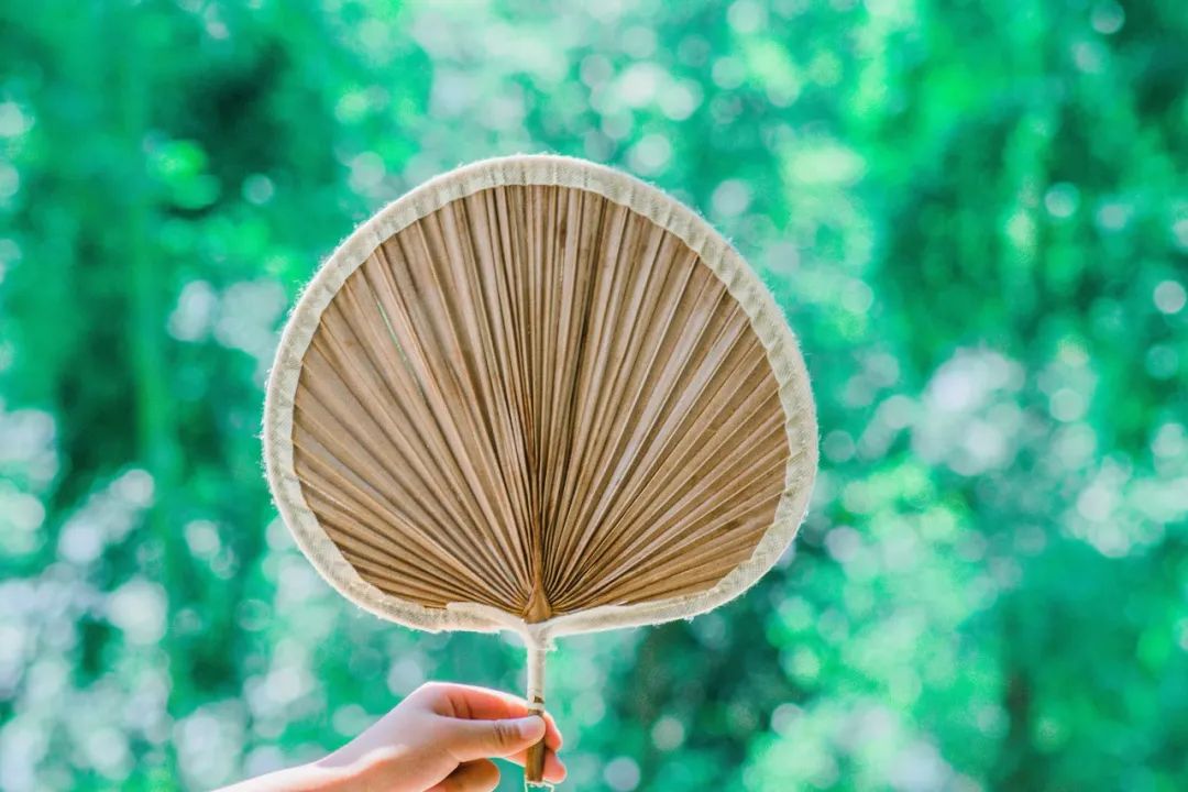 描写夏天景色的成语（赞美夏天景色的句子 ）