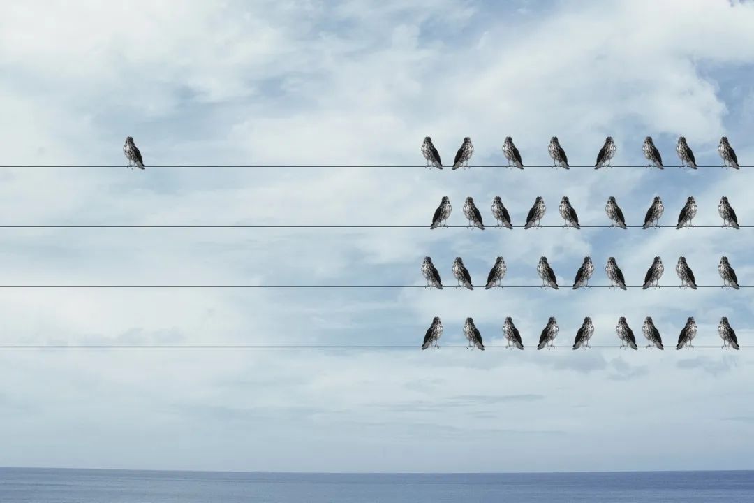 描写夏天景色的成语（赞美夏天景色的句子 ）