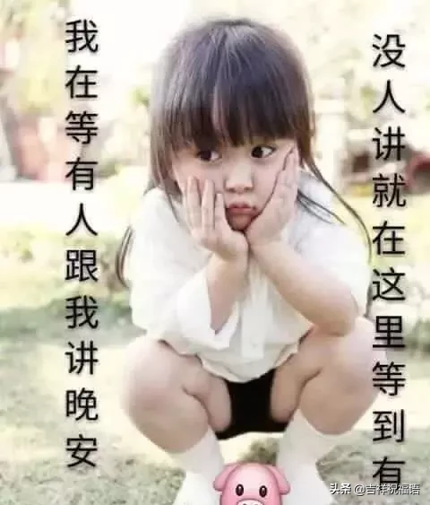 早上好短信问候大全（一句早上好暖心的话）