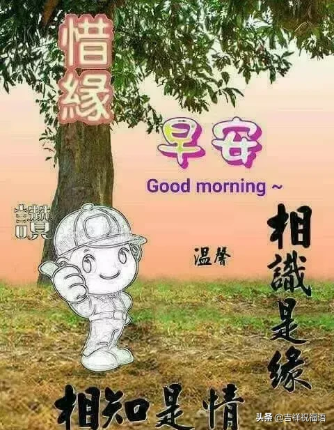 早上好短信问候大全（一句早上好暖心的话）
