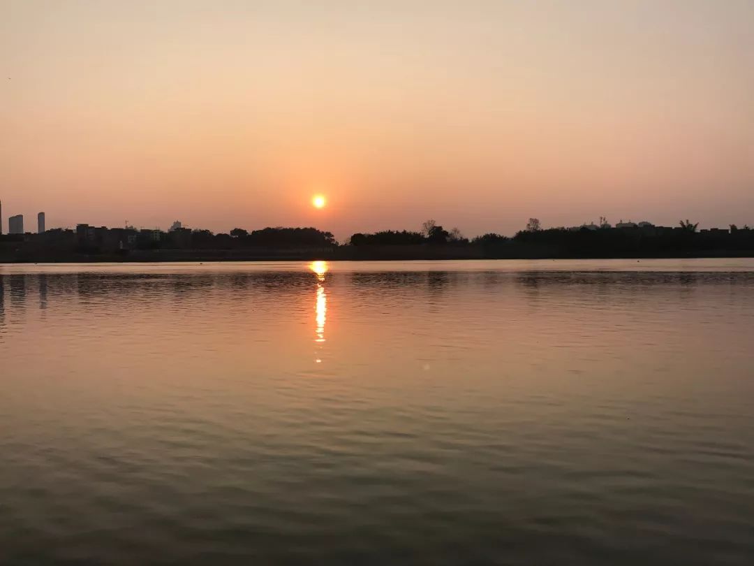 有关歌颂祖国的诗歌（歌颂祖国的现代诗歌简短）