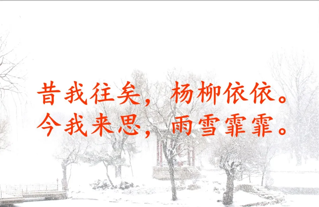 诗经采薇节选的意思是什么（诗经采薇全文解析）
