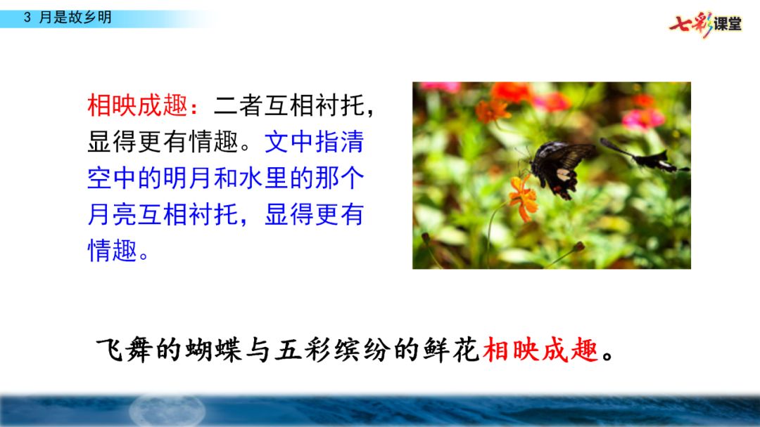 五年级月是故乡明阅读及答案（月是故乡明考题及答案）