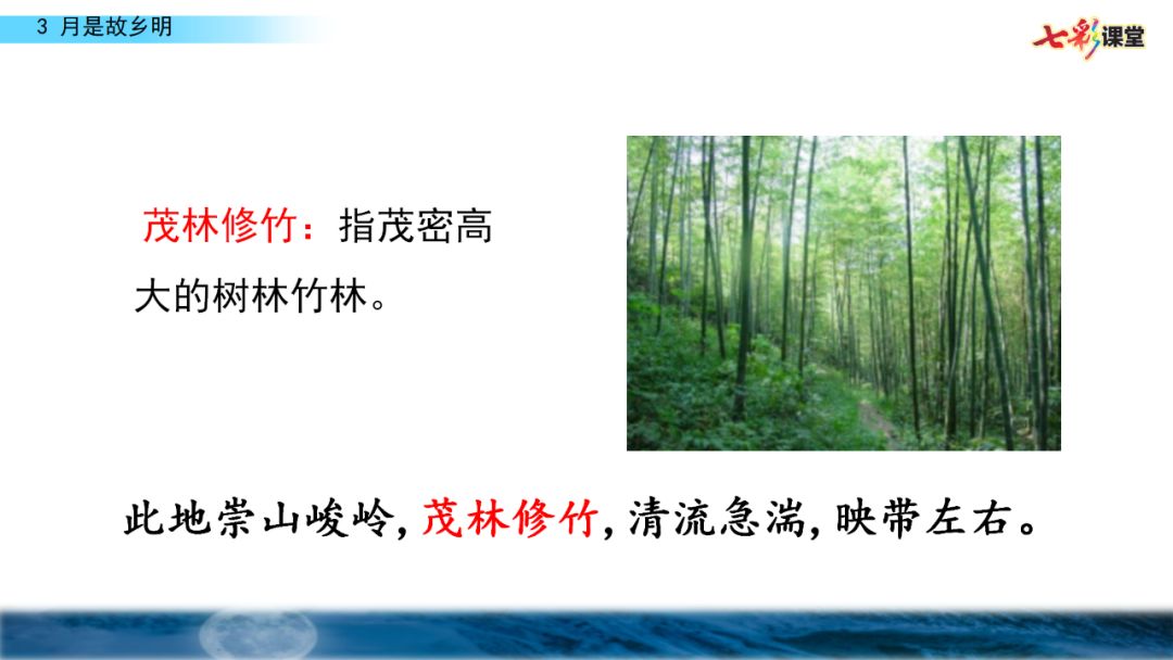 五年级月是故乡明阅读及答案（月是故乡明考题及答案）