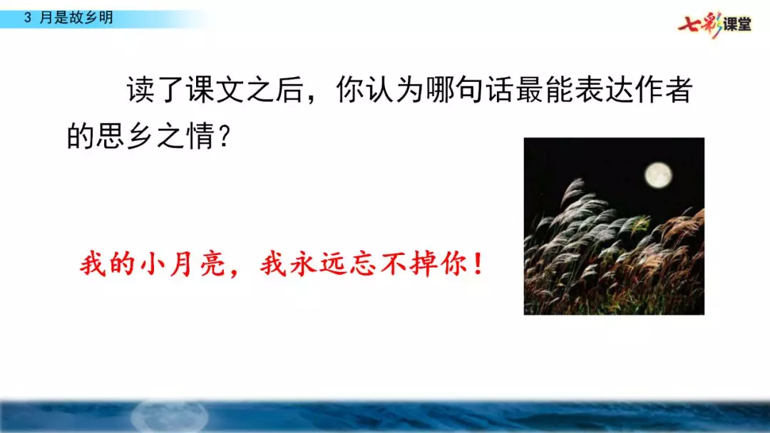 五年级月是故乡明阅读及答案（月是故乡明考题及答案）